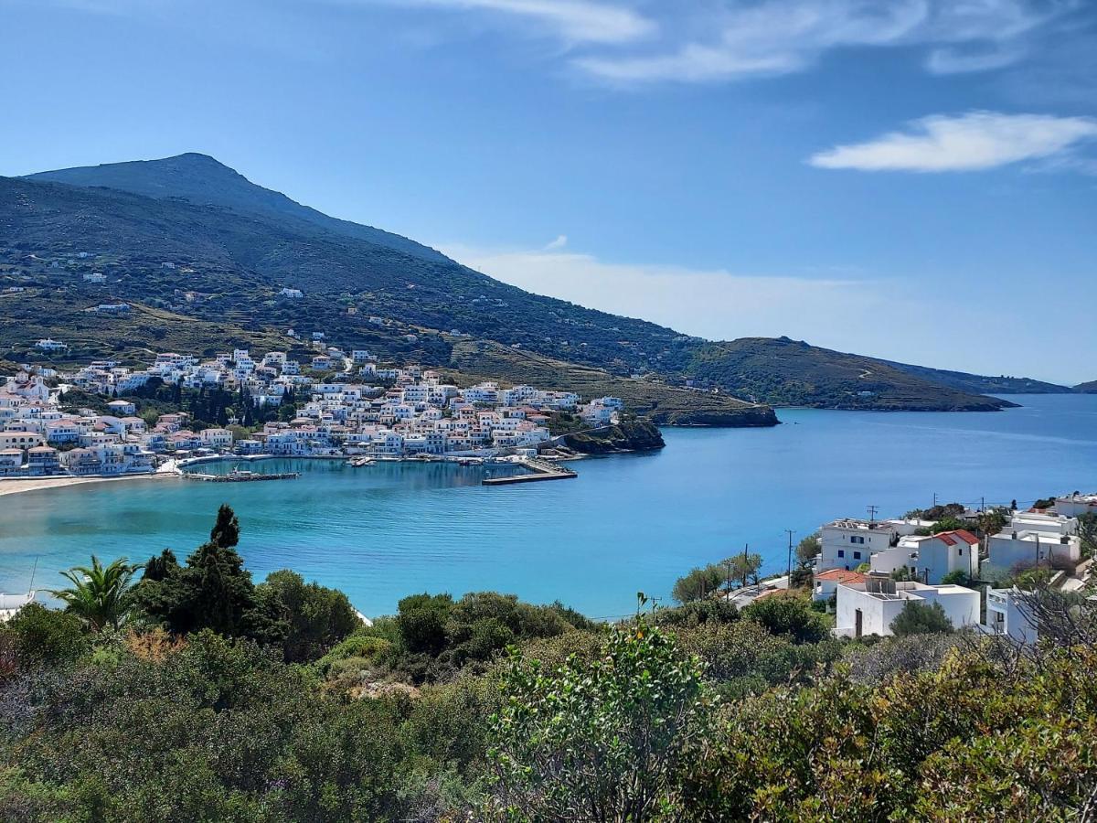 Villa Arni Andros - Βίλα Αρνη Batsíon Zewnętrze zdjęcie