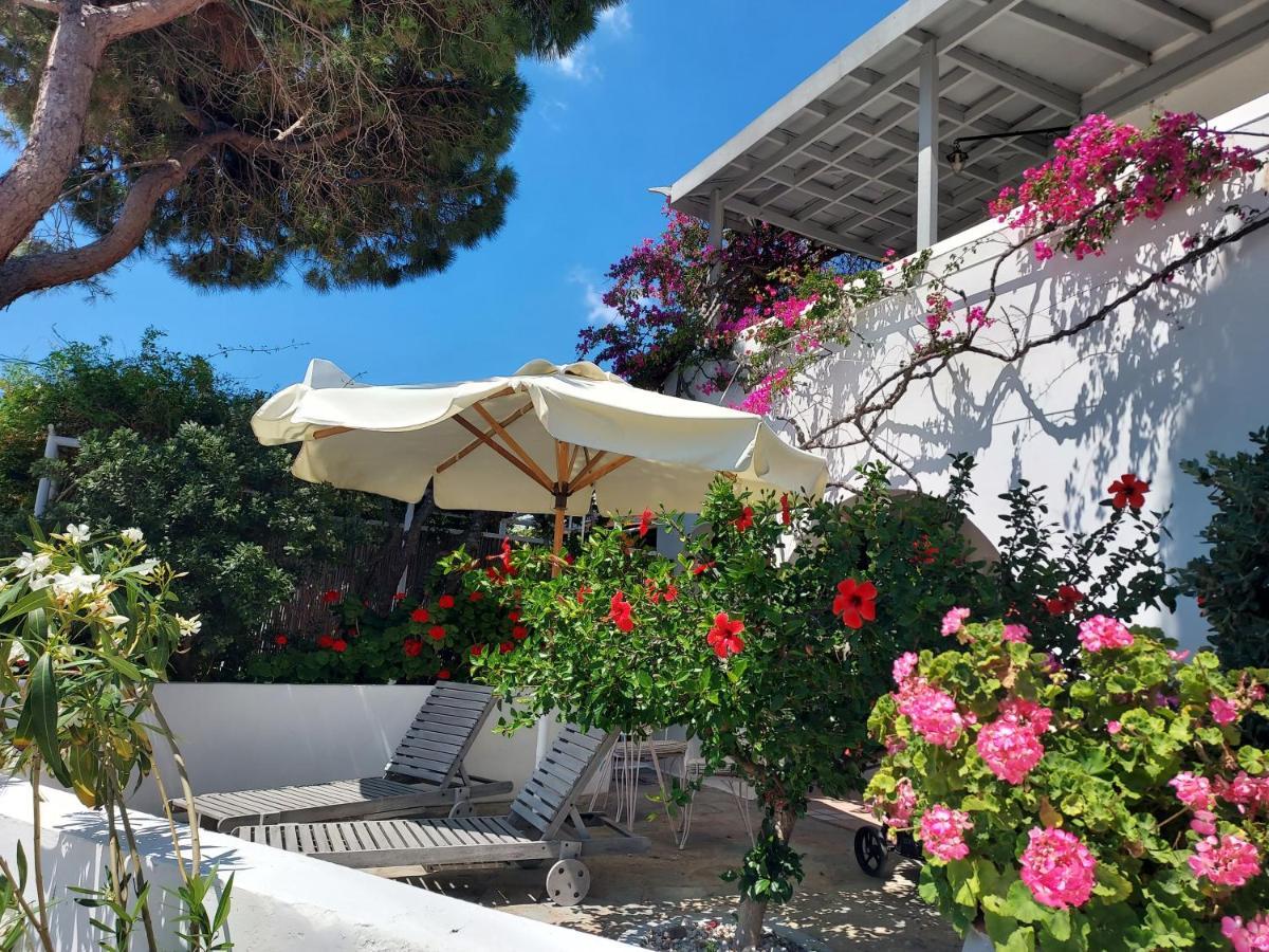 Villa Arni Andros - Βίλα Αρνη Batsíon Zewnętrze zdjęcie