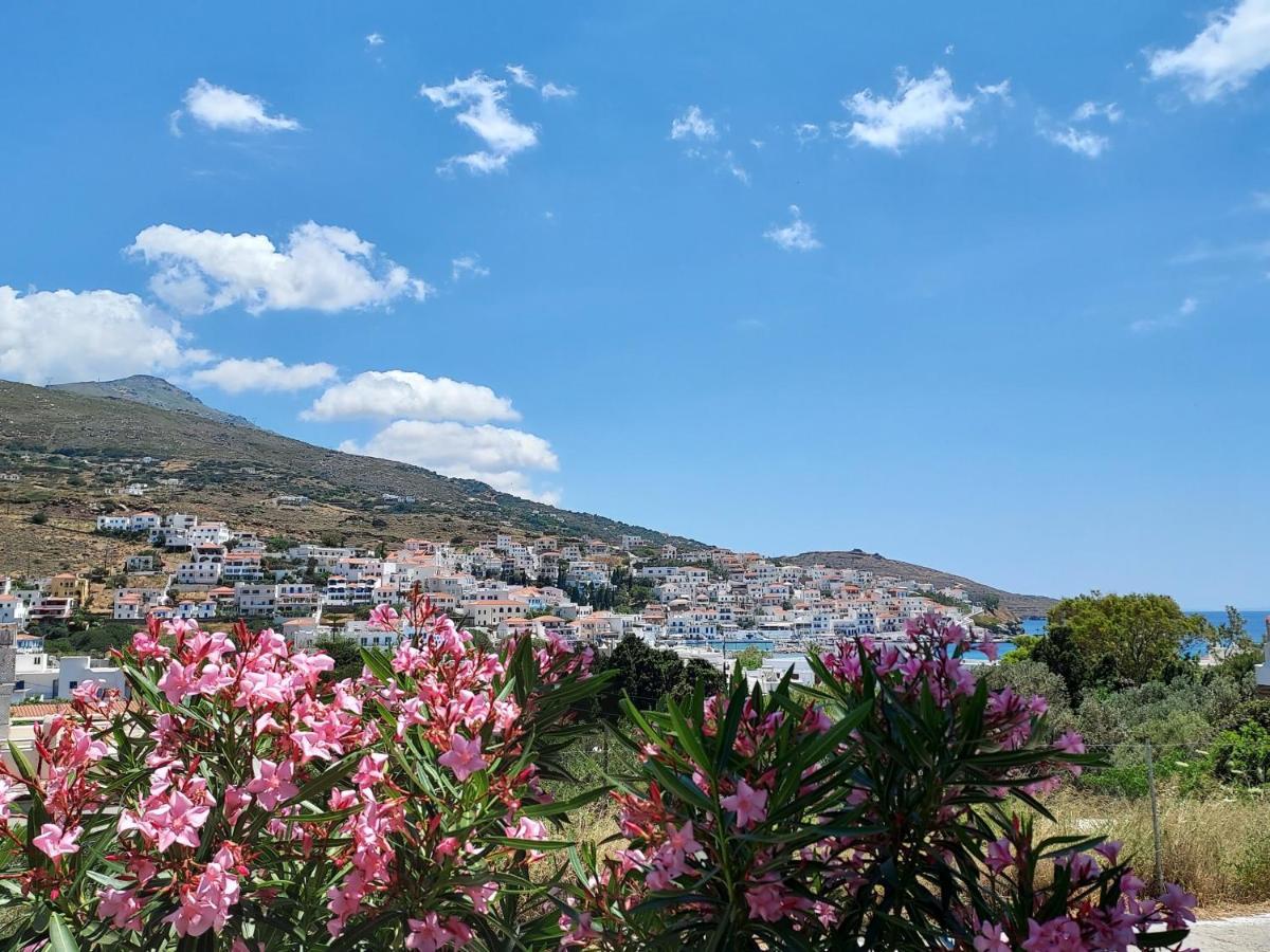 Villa Arni Andros - Βίλα Αρνη Batsíon Zewnętrze zdjęcie
