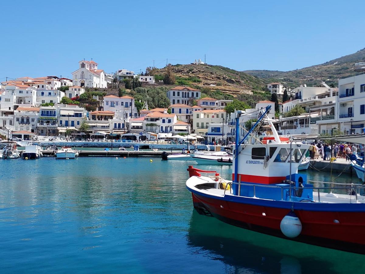 Villa Arni Andros - Βίλα Αρνη Batsíon Zewnętrze zdjęcie