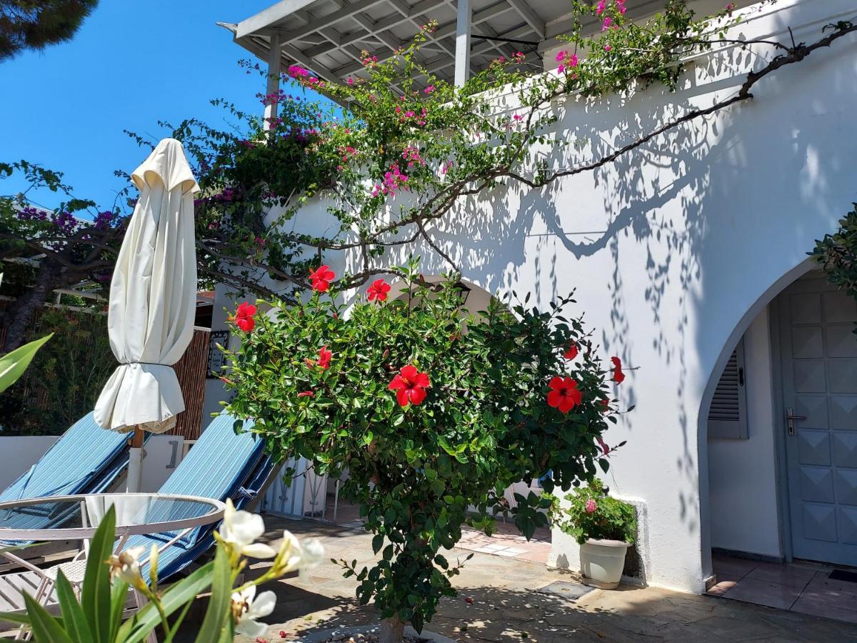 Villa Arni Andros - Βίλα Αρνη Batsíon Zewnętrze zdjęcie