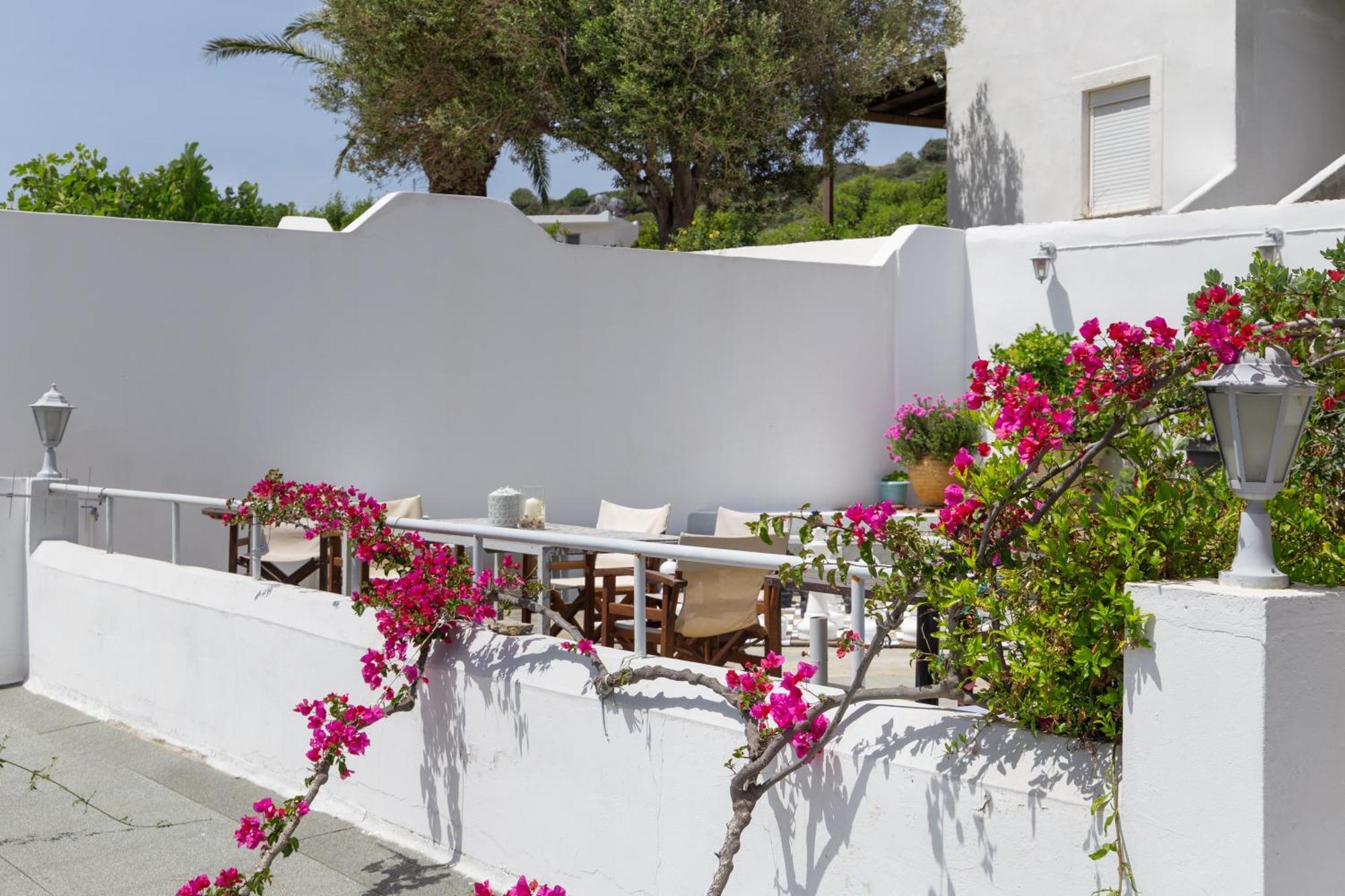 Villa Arni Andros - Βίλα Αρνη Batsíon Zewnętrze zdjęcie