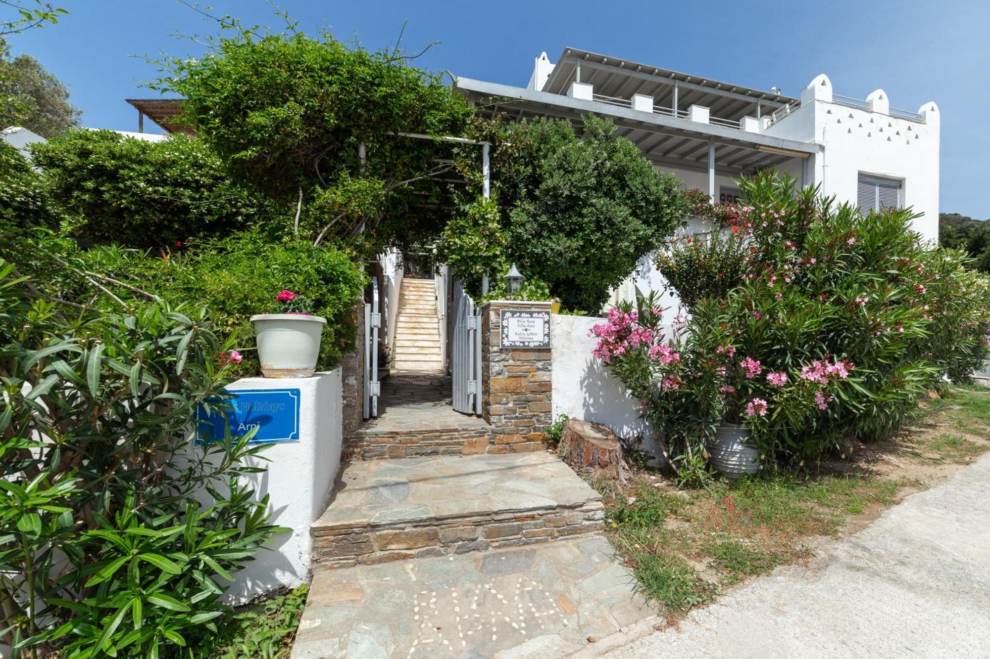 Villa Arni Andros - Βίλα Αρνη Batsíon Zewnętrze zdjęcie