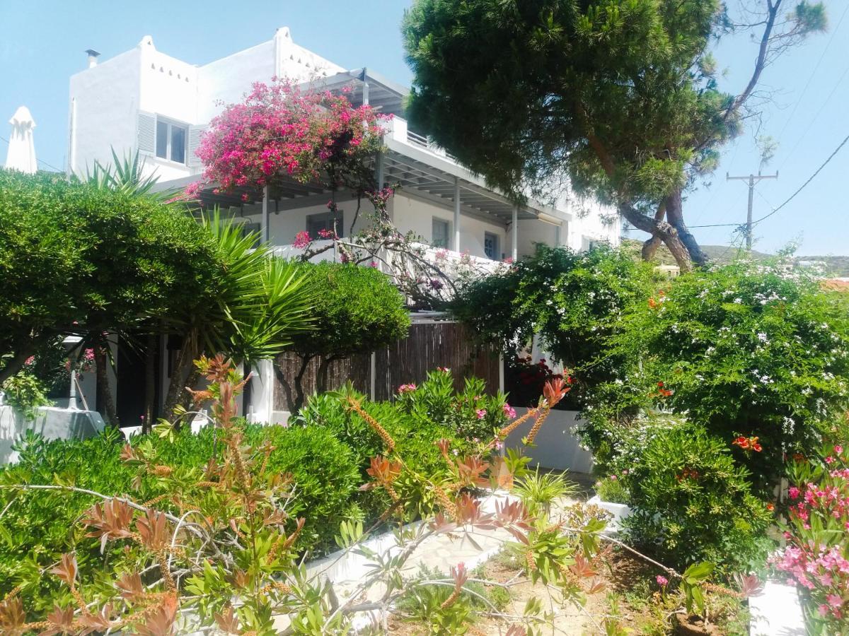 Villa Arni Andros - Βίλα Αρνη Batsíon Zewnętrze zdjęcie